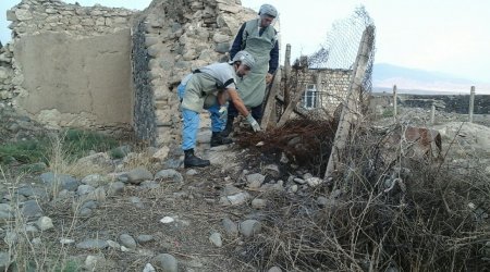 Cocuq Mərcanlıda minaatan mərmiləri tapıldı