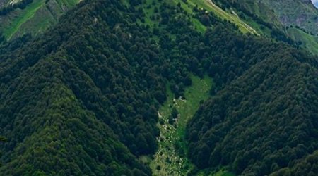 Dubaydan Qəbələyə birbaşa aviareys açılır