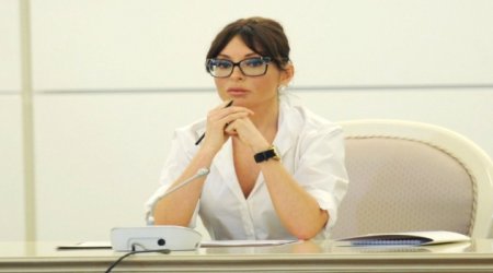 Birinci vitse-prezident hansı səlahiyyətlərə malikdir?