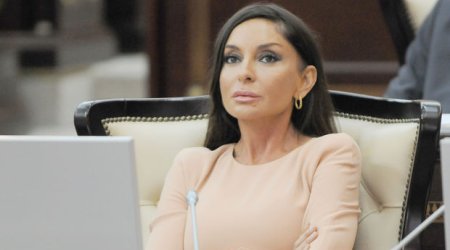 Mehriban Əliyeva MSK-ya müraciət edib