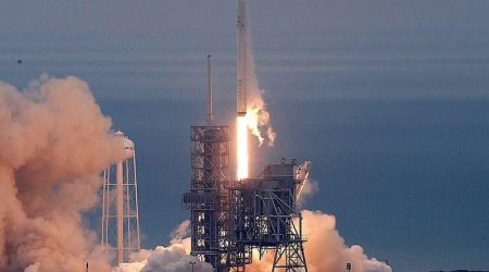 Alimlər sensasiyanı gerçəkləşdirdilər