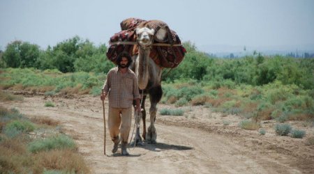 “Çölçü” Hindistanda “Ən yaxşı bədii film” mükafatına layiq görülüb