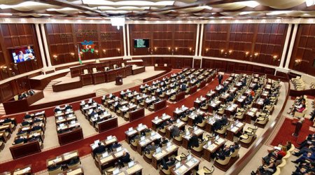 Karateçi, güləşçi, kikboksçu, cüdoçu, samboçu deputatlarımız