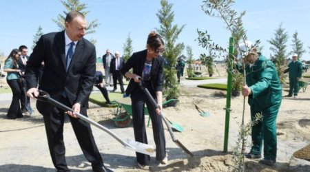 Prezident ağacəkmə aksiyasında iştirak edib