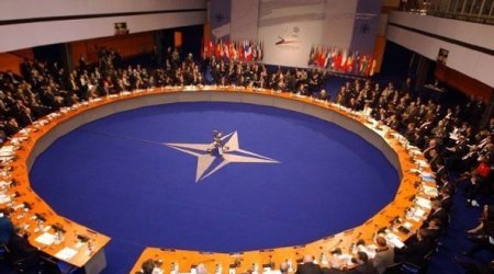 Almaniya NATO sammitinin Türkiyədə keçirilməsinin əleyhinədir