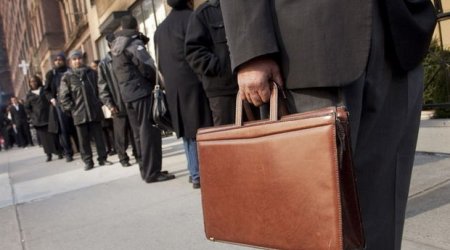 İşsizlərə sevindirici xəbər