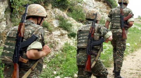 İrəvanda siyasi klounada