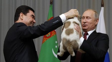 Türkmənistan prezidenti Putinə it hədiyyə etdi