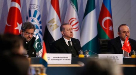 İlham Əliyevin qatıldığı D-8 başladı