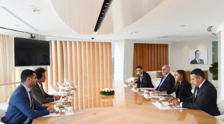 Mehriban Əliyeva dostluq qrupunun üzvləri ilə görüşüb