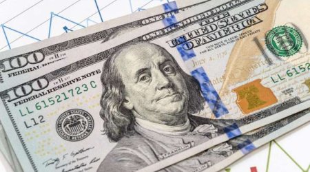 Dollarları geri qaytarın - Vətəndaşlara müraciət edildi