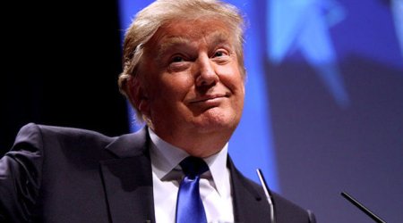 Tramp Nobel mükafatına namizəd oldu