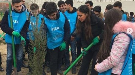 Leyla Əliyeva ağac əkdi 