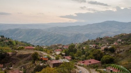 Laçının ən son FOTOLARI