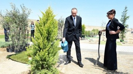 İlham Əliyev və ailəsi ağac əkdi