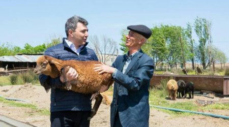 “Belə nazir görməmişdim” – Fermer nazirlə görüşündən danışdı 