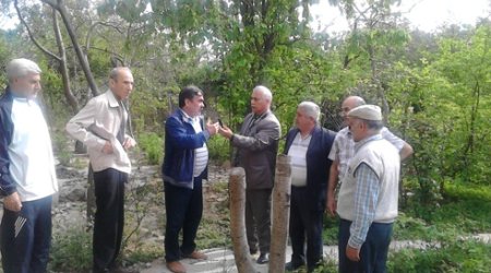  Əhmədlidə ağac kəsməyin partizan üsulu
