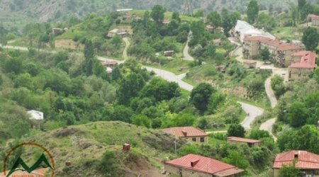Laçının ürək dağlayan son görüntüləri - VIDEO