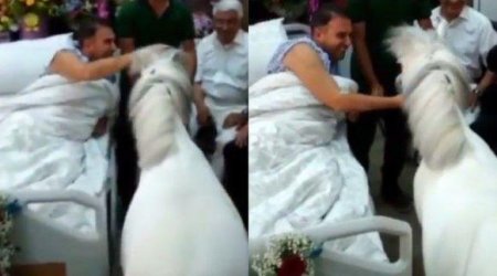 Həkimdən şok:Hacı Nuranın yanına at gətirilməsi...
