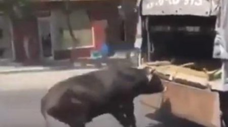 Vaqif Əsədov işgəncə görüntüsündən danışdı – VIDEO