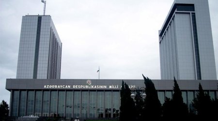 Hansı deputatların tapançası var?  