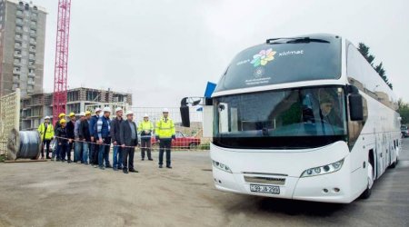 Tikintidə 809 nəfər qanunsuz işlədilib