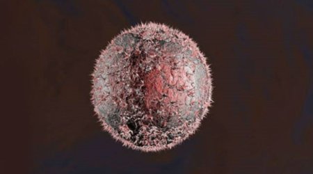 Alimlərdən xərçəngin müalicəsində yeni kəşf