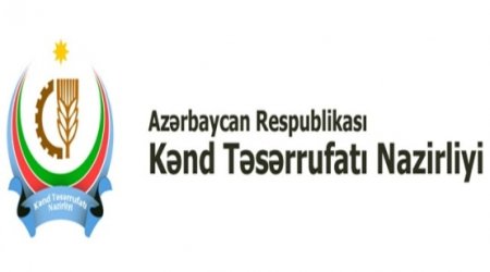 Nazir yeni rəis müavinləri təyin etdi