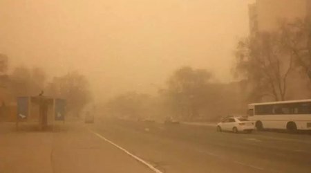 Alimlərdən qorxunc PROQNOZ