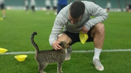 Qara Qarayev məşhur pişiklə - FOTO 