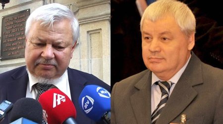 Azərbaycandakı OXŞARLAR - Onlar sizi də çaşdıra bilərlər? - FOTO