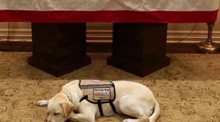 Corc Buşun köpəyi milyonları kövrəltdi - FOTO