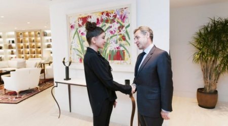 First VP Mehriban Aliyeva meets with Nicolas Sarkozy