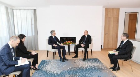 President Aliyev meets SAP CEO in Davos 