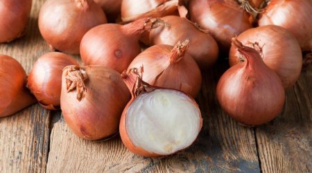 Turkey allows import of Azerbaijani onions