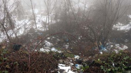 Yol kənarındakı zibilliyə atılan çamadandan GÖRÜN NƏ ÇIXDI - FOTOLAR