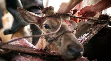 Viaqra belə hazırlanırmış: ŞOK GÖRÜNTÜLƏR - FOTOLAR (+18)