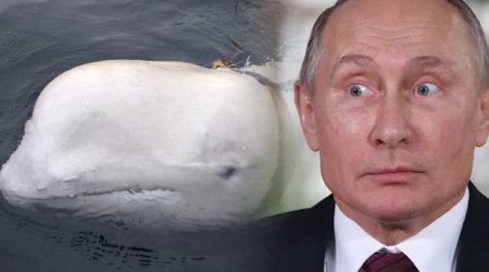 Putin dünyanı ŞOKA SALDI - Son anda gördülər - FOTOLAR