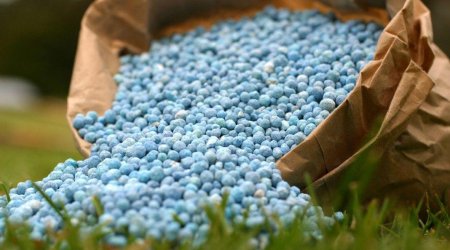 Azerbaijan to expand organic fertilizer production