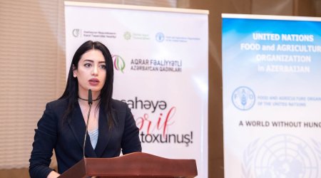 Azerbaijan to export agricultural products under new brand