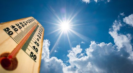 Minister: Such a high temperature has been recorded in Azerbaijan in June for the first time over the past 20 years