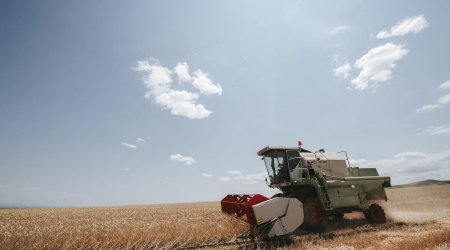 Grain harvesting continues in Azerbaijan