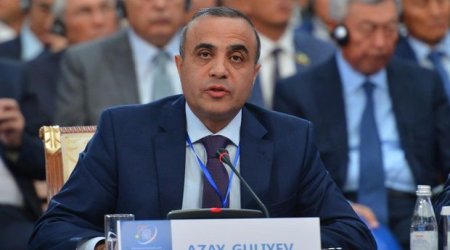 Azay Quliyev yenidən ATƏT PA-nın vitse-prezidenti seçildi