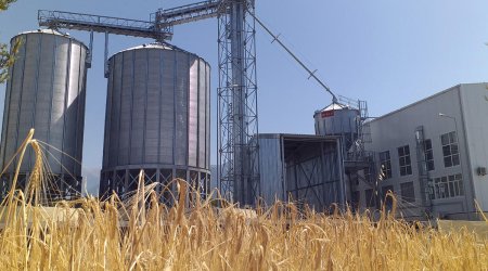 Seed processing plant starts operating in Azerbaijan’s Sheki (PHOTO)