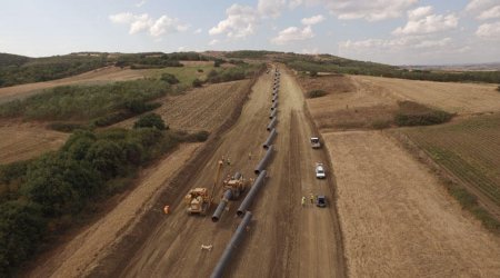 Managing director: TAP is one of most ambitious projects in oil and gas industry
