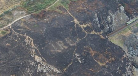 Meşə sahəsi kül oldu - Sakinlər əraziyə baxanda ŞOK MƏNZƏRƏ ilə üzləşdilər  - FOTOLAR
