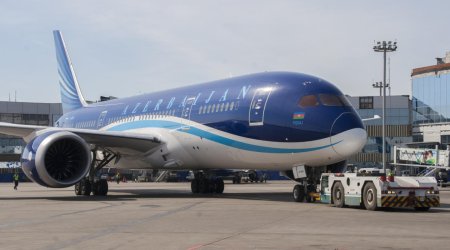 В туалете самолета AZAL обнаружено 18 телефонов iPhone - ВИДЕО 