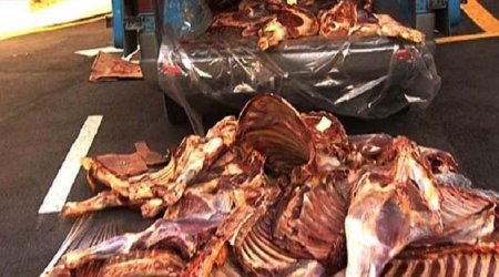 Qurban bayramı günü Bakıda külli miqdarda istifadəyə yararsız ət aşkarlandı - FOTO