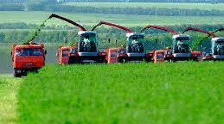 Azerbaijan posts 6.3% growth in agricultural production