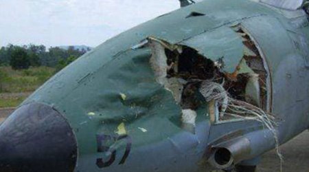 Quşla toqquşan təyyarələrin aqibəti... - FOTO